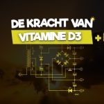 Cover over de kracht van vitamine D3 + K2